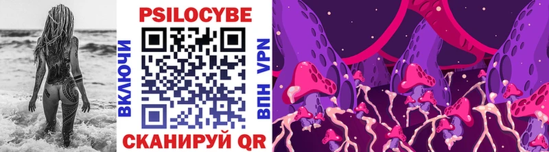 Галлюциногенные грибы GOLDEN TEACHER купить цена Райчихинск
